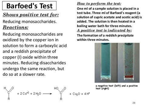 Barfoed’s test for mono and disaccharides .